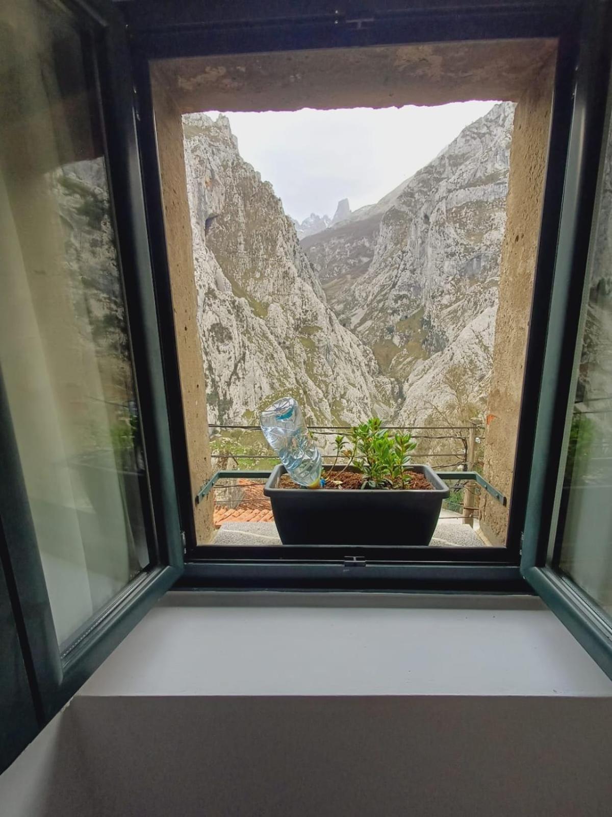 El Portal Del Abuelo Apartment Arenas De Cabrales Bagian luar foto